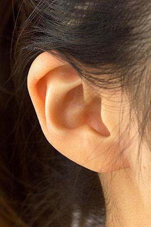 横浜市中区で子供の発達障害を理解するための完全ガイド：専門機関やサポート方法を徹底解説