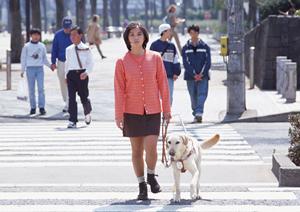 東京すぐ近くのインプラント治療なら