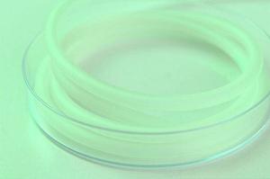 【2025年最新】文京区で選ばれる不妊治療クリニック徹底ガイド|安心と実績のポイント