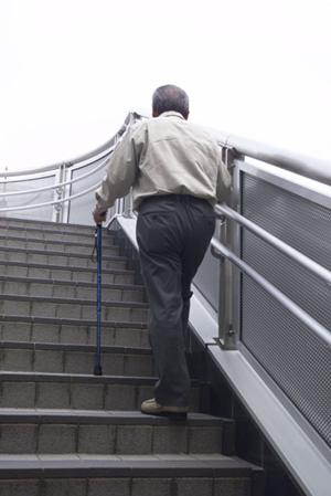 2025年版：練馬区で選ばれる経鼻内視鏡検査の最新ガイドとそのメリット